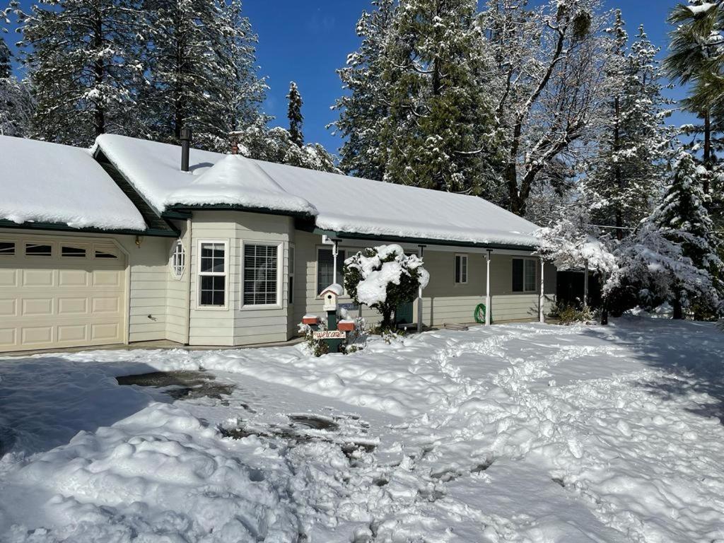 Acorn House - Charming House In Green Heaven With Pool Table With Lovely Backyard Oakhurst Exterior photo